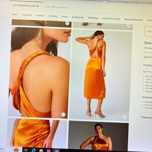 Brand new Anthropologie Silk dress